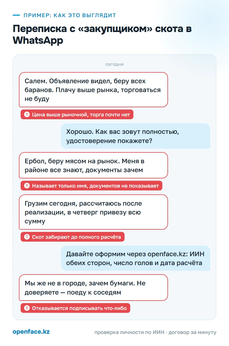 Переписка с «закупщиком» скота в WhatsApp: пример, как это выглядит