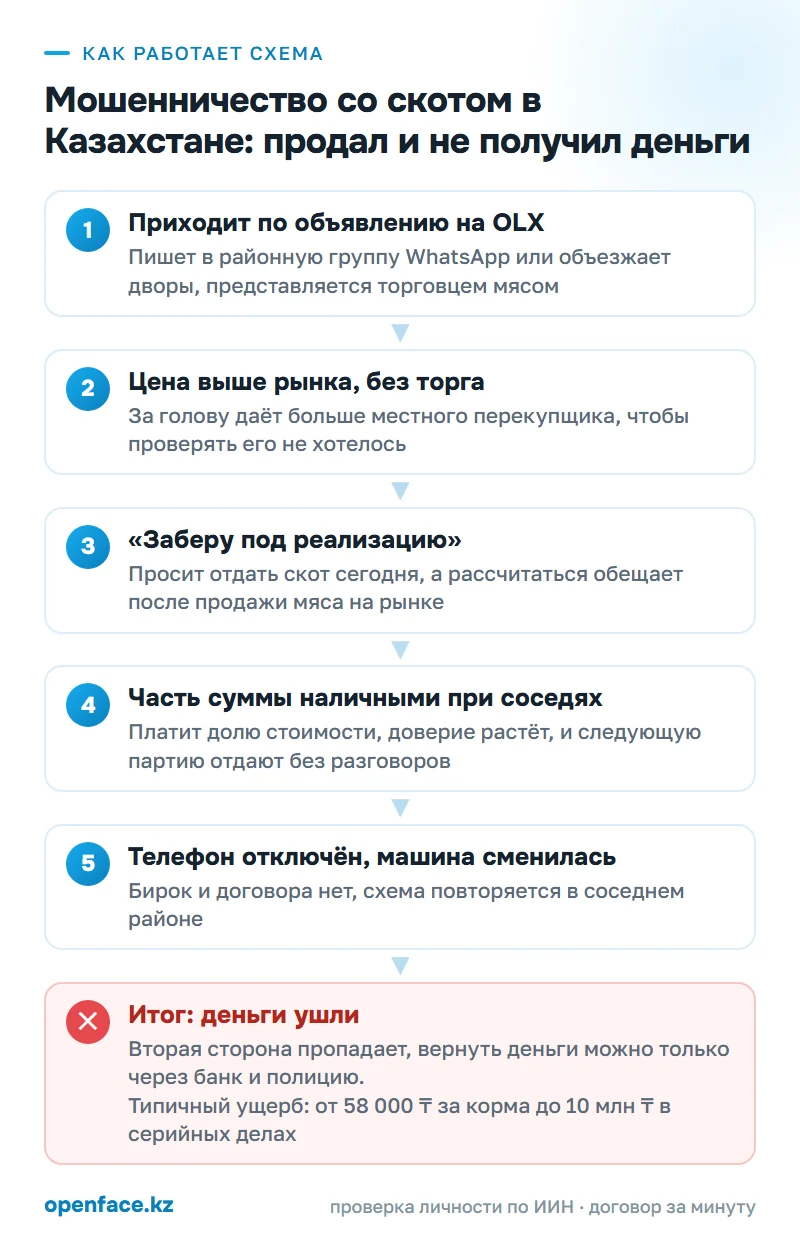 Как работает схема: Мошенничество со скотом в Казахстане: продал и не получил деньги