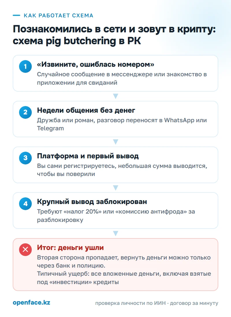 Как работает схема: Познакомились в сети и зовут в крипту: схема pig butchering в РК