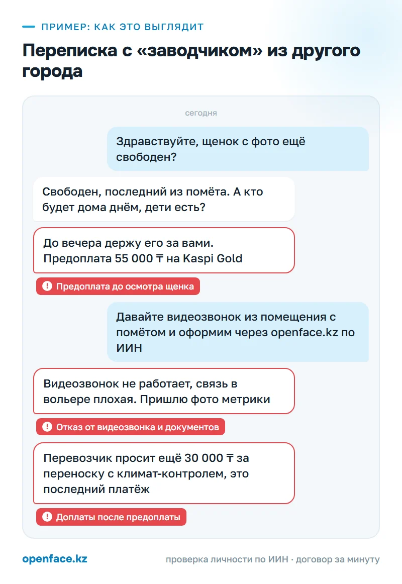 Переписка с «заводчиком» из другого города: пример, как это выглядит