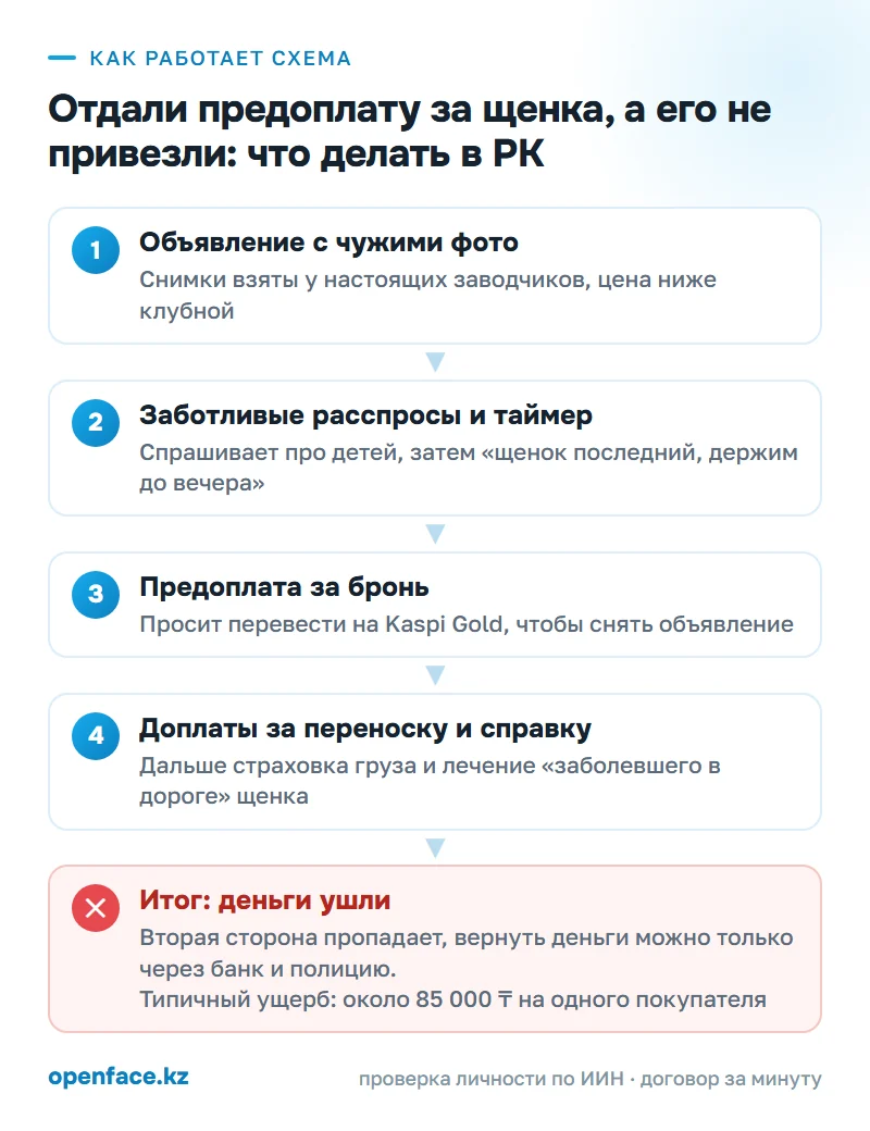 Как работает схема: Отдали предоплату за щенка, а его не привезли: что делать в РК