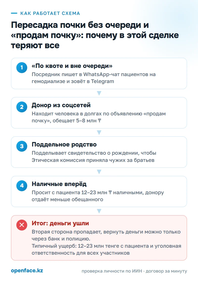 Как работает схема: Пересадка почки без очереди и «продам почку»: почему в этой сделке теряют все